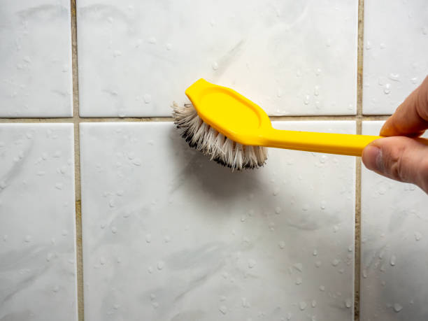 Best Localized Mold Remediation (e.g., coastal areas, humid climates) in Berlin, OH
